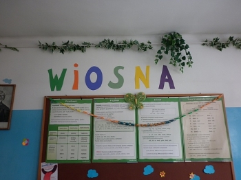 dwiosny29