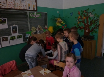 babeczki14