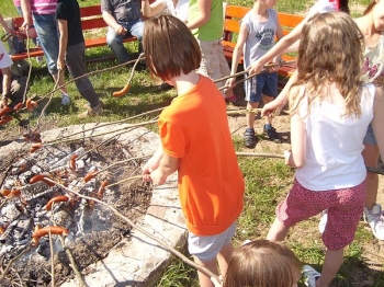 piknik39