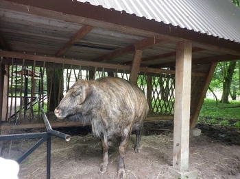 bialow08