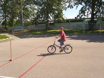 brd31