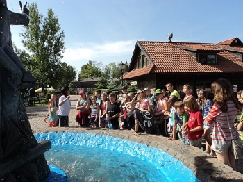 3miasto61