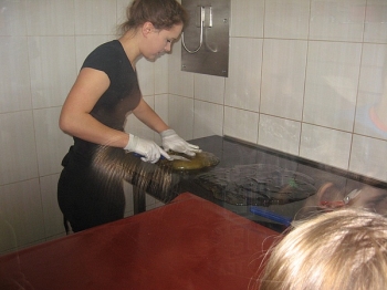 ciuciu07