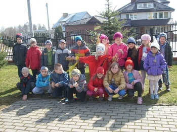 dwiosny02