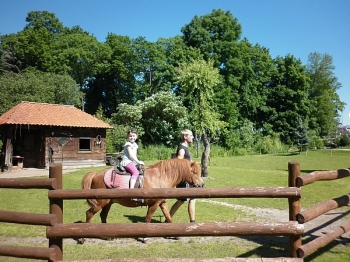 kaktusik020