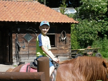 kaktusik021