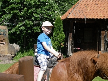 kaktusik023