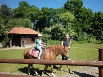kaktusik022