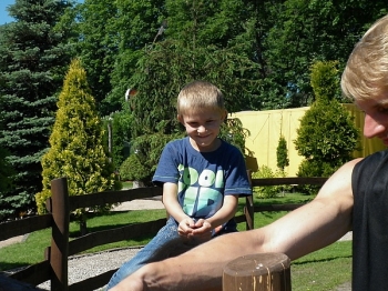 kaktusik025