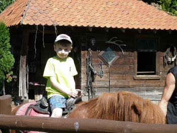 kaktusik027