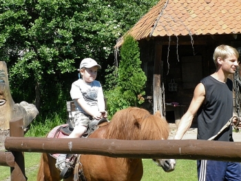 kaktusik031