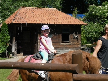 kaktusik034