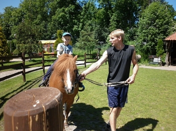 kaktusik041