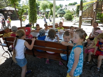 kaktusik044
