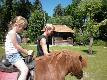 kaktusik047
