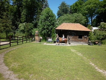 kaktusik049