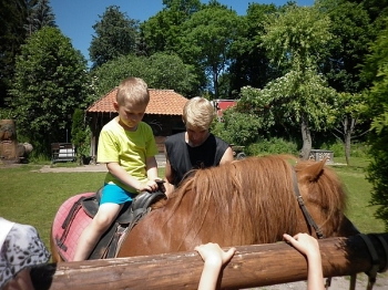 kaktusik056