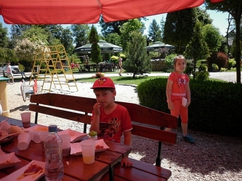 kaktusik065