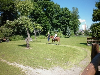 kaktusik077