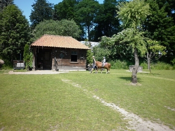 kaktusik084