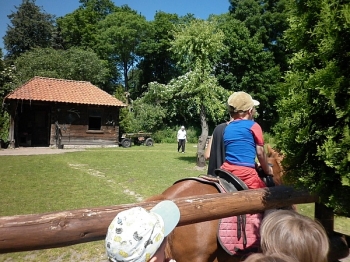 kaktusik086