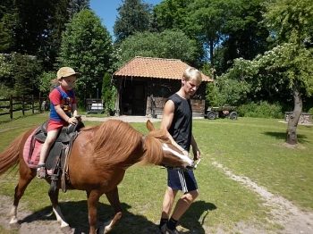 kaktusik087
