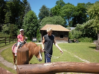 kaktusik089