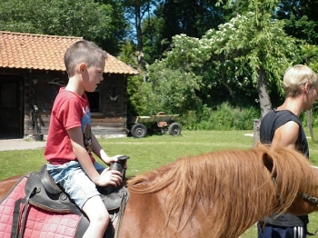 kaktusik105