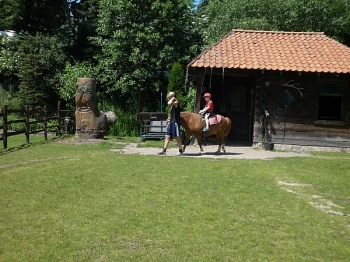 kaktusik106