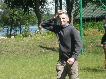 postaw29