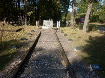 bpn49