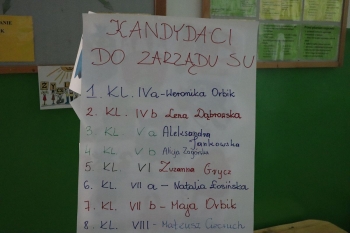 wybory06