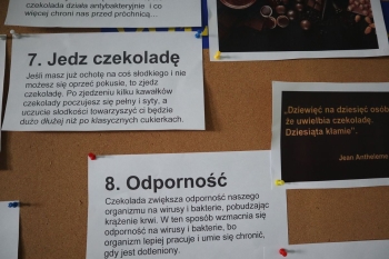 czeko29.JPG