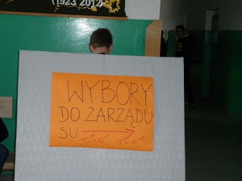wybory_su2