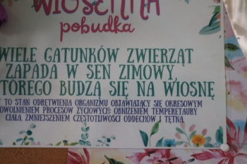 wielk06