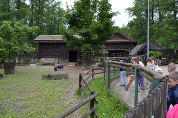 ddziecka1ab25