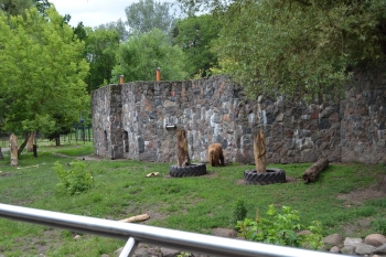 ddziecka1ab28