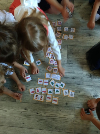 IMG_20251107_110522317