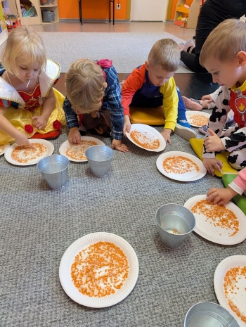 PXL_20251105_112017067.MP