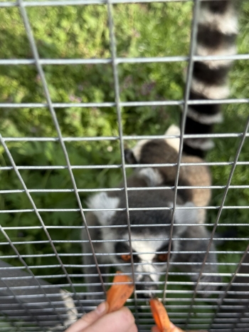 IMG_7765.jpeg