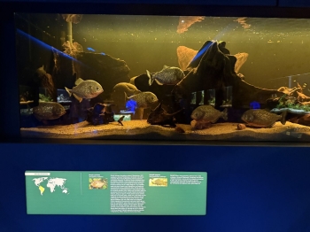 IMG_8156.jpeg
