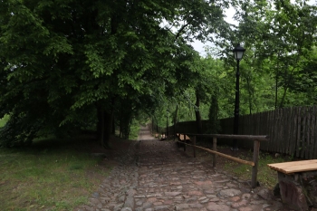 IMG_9881.JPG