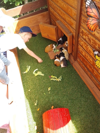 IMG-20260608-WA0041