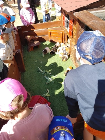 IMG-20260608-WA0044