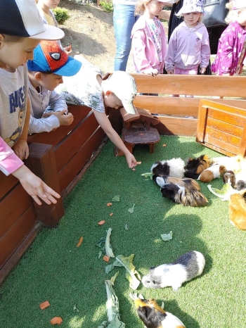 IMG-20260608-WA0045