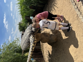 20260609_105221670_iOS