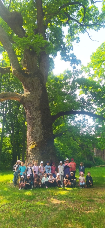 bialowieza19