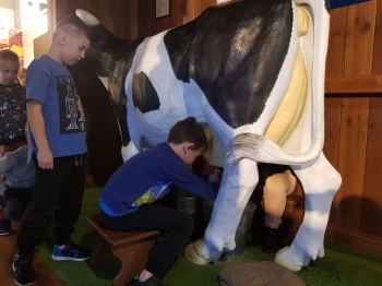 elkgraj25