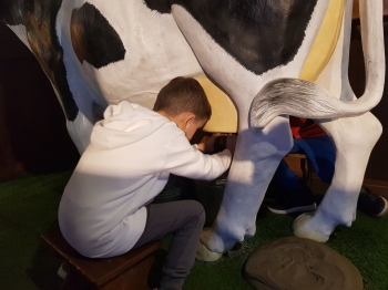 elkgraj28