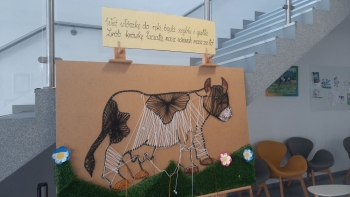elkgraj049